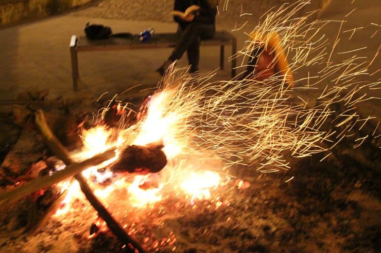 Dieci anni fa: Roghi di Pina Piccolo: La prossima volta il fuoco. Lettera ai giovani immolati di febbraio